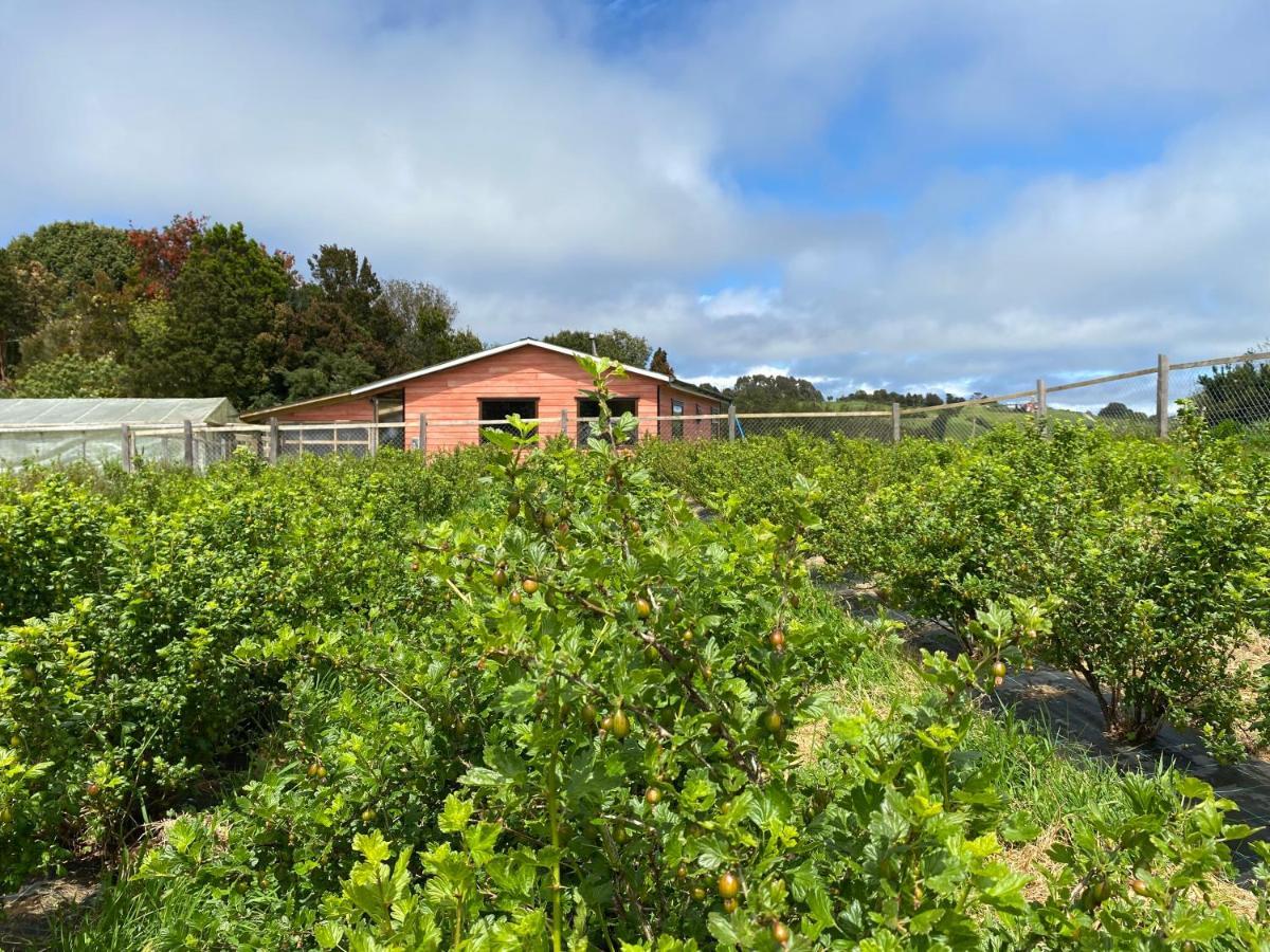 Cabana Nueva En Ancud Chiloe Екстериор снимка